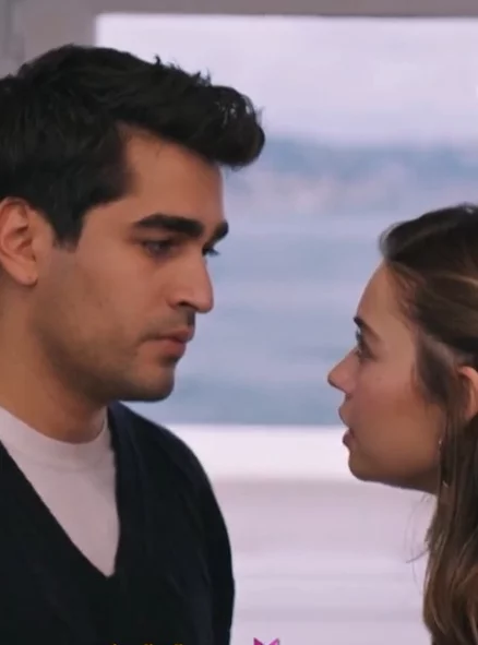 Зимородок 86 серия