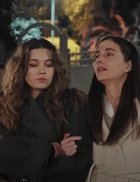 Зимородок 96 серия