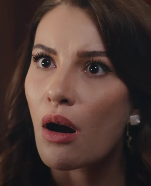 Клюквенный щербет 102 серия