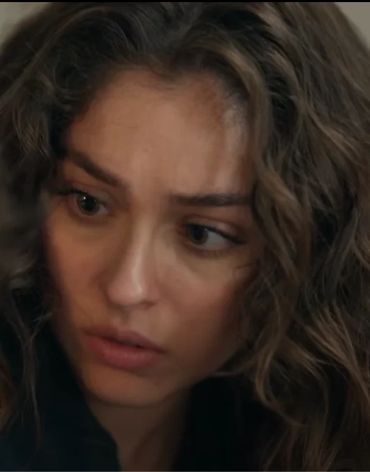 Лейла 33 серия