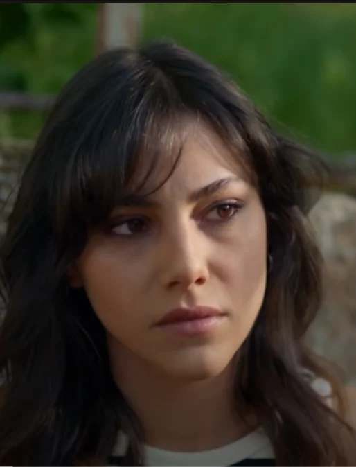 Далекий город 24 серия