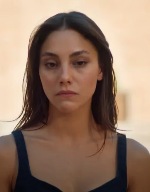 Далекий город 29 серия