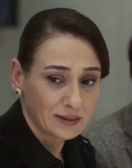 Наследник 16 серия