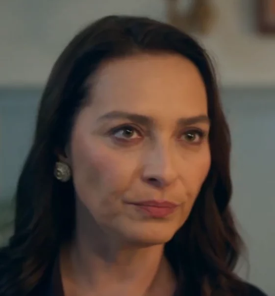 Зависть 25 серия